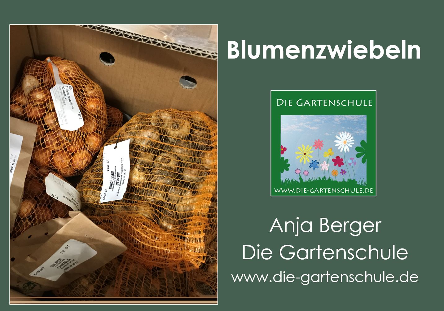 Gartenvortrag über Blumenzwiebeln