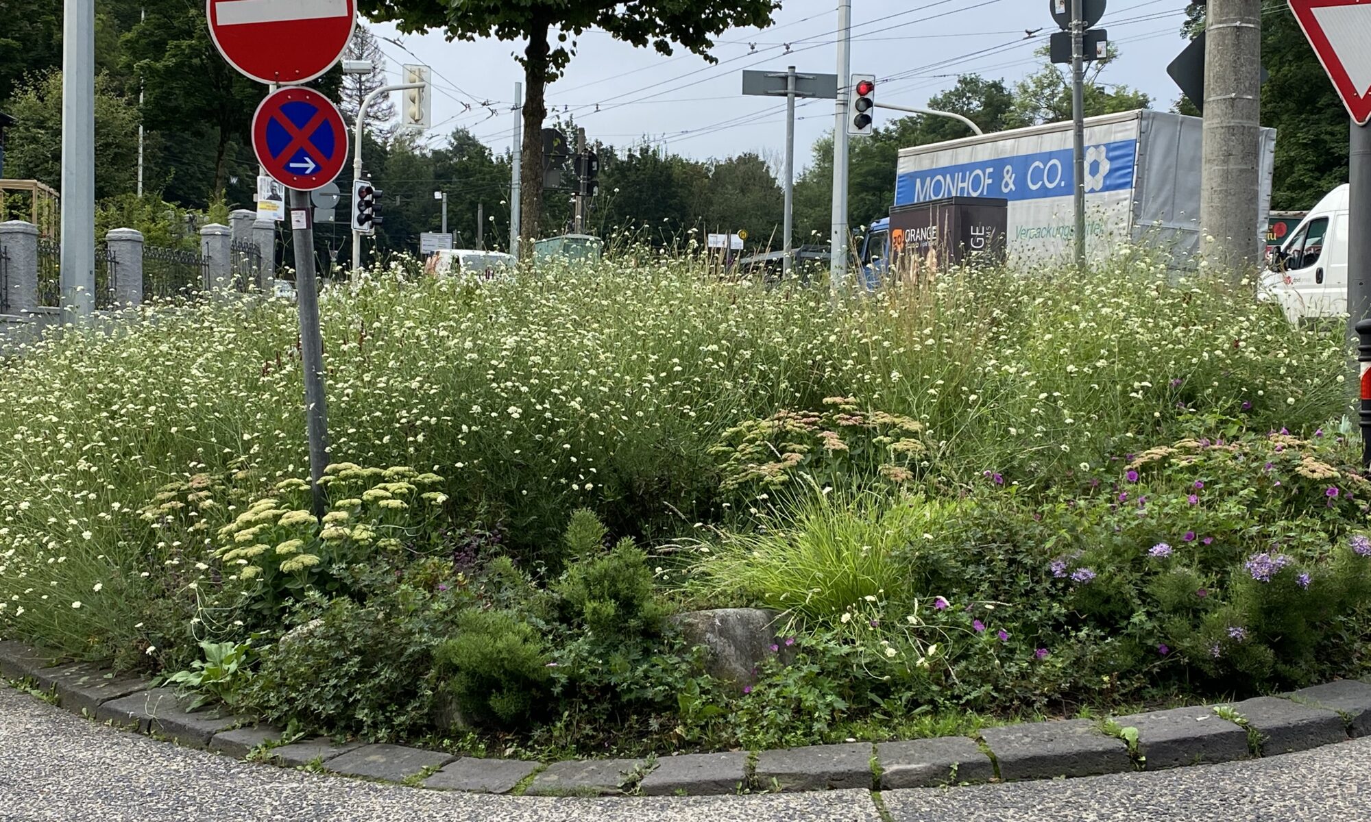 Bepflanzung einer Verkehrsinsel