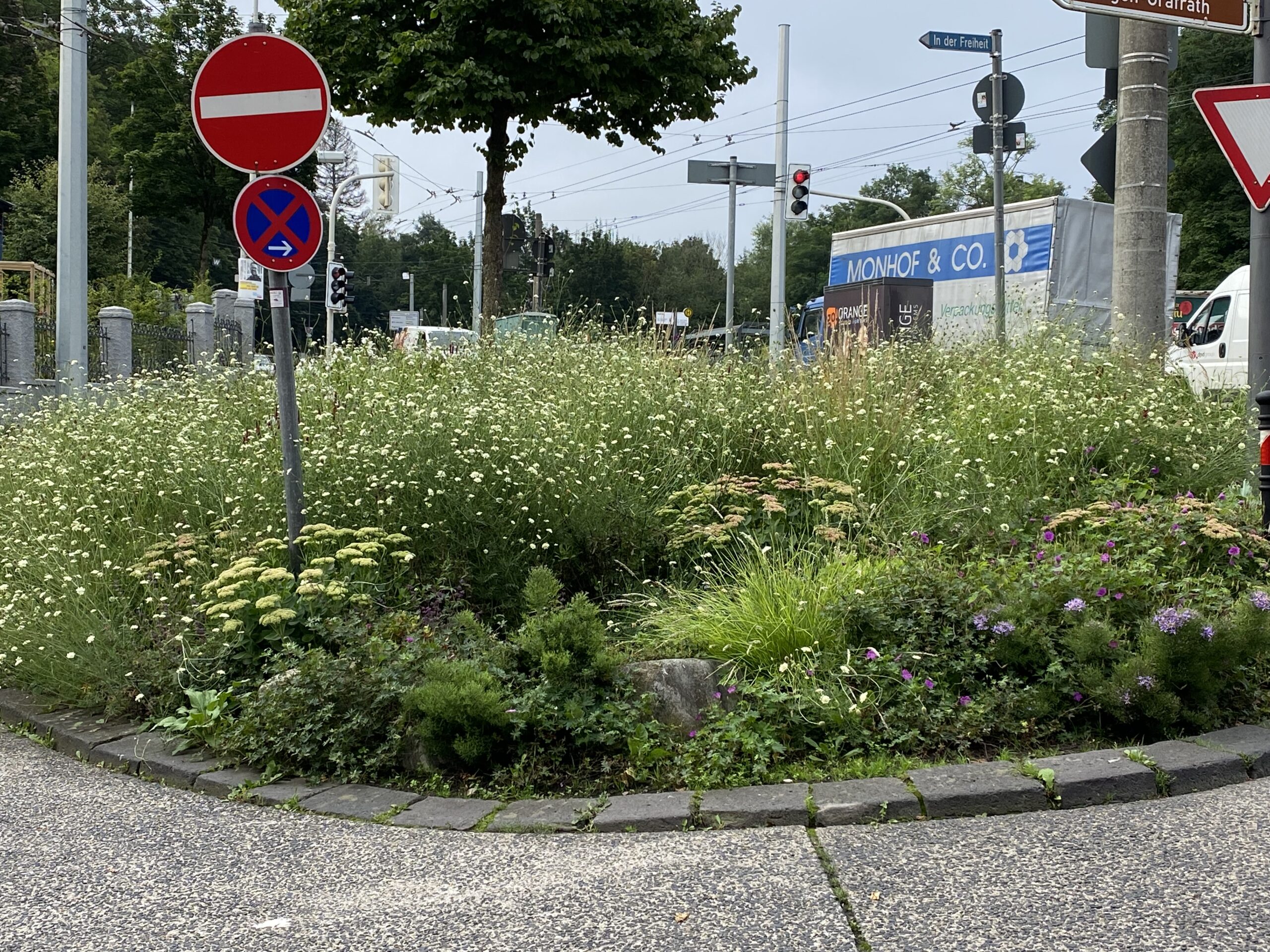 Bepflanzung einer Verkehrsinsel